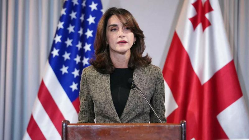 ԵՄ-ին անդամակցության բանակցությունների մեկնարկը ոչ թե Թբիլիսիի, այլ Բրյուսելի իրավասությունն է. Մակա Բոչորիշվիլի