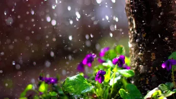 Il est prévu des pluies brèves et des orages. La température de l'air baissera de 7 à 9 degrés.